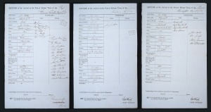 Three printed Port of Hobart Town ship returns; completed in manuscript for the 4th May 1852 arrival of the Brig "Emma Prescott" from Port Phillip (carrying sheep skins and hides); the 17th May 1852 arrival of the schooner "Miranda" from Port Albert (carrying 44 cattle and 252 sheep); and the 29th May 1852 arrival of the Schooner "Eucalyptus" (with 46 cattle).The names of passengers are also recorded. (3 items).