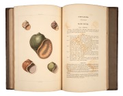 George PERRY (1771-1823), "Conchology, or the natural history of shells...illustrated with coloured engravings....", [LONDON : William Miller, dated 1811, but probably 1823-27], folio, with 60 hand-coloured engraved plates, contemporary straight-grained r - 4