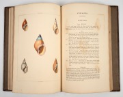 George PERRY (1771-1823), "Conchology, or the natural history of shells...illustrated with coloured engravings....", [LONDON : William Miller, dated 1811, but probably 1823-27], folio, with 60 hand-coloured engraved plates, contemporary straight-grained r - 5