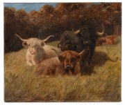 LILLIAN CHEVIOT (1876-1936), (highland cattle), oil on canvas (relined), signed lower right "L. Cheviot", 56 x 66cm.