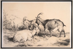 THOMAS SIDNEY COOPER (1803-1901), group of ten farmyard tinted lithographs from the 1839 publication "Groups Of Cattle Drawn From Nature", sight size 32 x 46cm, mounted 47.5 x 61.5cm overall.