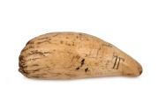 An impressive tabua whale's tooth Fijian Chieftain's amulet, engraved with Roman lettering, 18th/19th century. The largest example seen in our rooms. 20cm long, 953 grams.