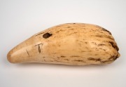 An impressive tabua whale's tooth Fijian Chieftain's amulet, engraved with Roman lettering, 18th/19th century. The largest example seen in our rooms. 20cm long, 953 grams. - 2