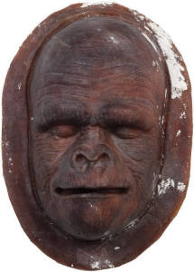 MOVIES: Roddy McDowall 'Planet of the Apes' foam latex mask casting. Produced from the original positive mask mold used in the hit 1960's movie, a very rare item, excellent condition. 29cm x 20cm.