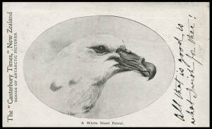 The "Canterbury Times" New Zealand: The "Discovery" Expedition - 1904 (Wharton DE-24) "A White Giant Petrel.", franked &frac12;d Mount Cook tied with Oamaru datestamp for May 1904 use to Dunedin.