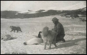 The British Antarctic "Nimrod" Expedition - 1907 - 1909 (Wharton GA-3 & GA-5) "Joyce, Dogs & Penguins" & "Ponies on arrival in Antarctic" together with 2 other cards: A Cerebos Table Salt colour lithographic advert card featuring Polar scenes & the French