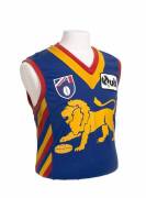 FITZROY: 1995 Fitzroy pre-season jumper, number 3 Doug Hawkins, signed on number. Rare pre-season jumper, Hawkins only had one year at Fitzroy after 17 seasons at Footscray.