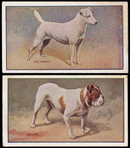 c1908-13 cigarette cards in album, noted 1910 Sniders & Abrahams "Dogs" (6); 1911 Wills "Australian & English Cricketers" (12). Fair/VG. (92).