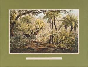 Eugene Von Guerard (1811-1901)&nbsp;Ferntree Gully. Dandenong Ranges (Victoria)Hand coloured lithograph&nbsp;52 x 34cm&nbsp;