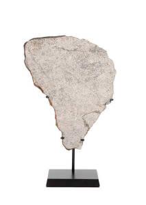 METEORITE SLICE: Millbillillie meteorite slice, eucrite achondrite, 16x13cm, a type of stony meteorite, named after the cattle station in Australia on which it fell in October 1960.&nbsp;