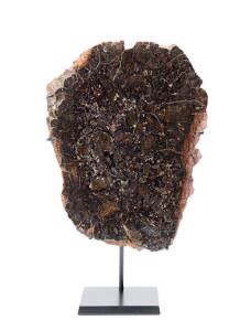 METEORITE SLICE: Large Huckitta pallasite stony-iron meteorite slice, 2460g, size 26x20cm, recovered in 1937 from Huckitta Cattle Station, Northern Territory, Australia.&nbsp;
