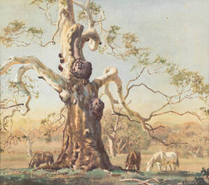 ALLAN THOMAS BERNALDO (1900-1988), The Giant Gum, watercolour, signed 'Allan Thomas Bernaldo' lower left, 45.5 x 50.5 cm