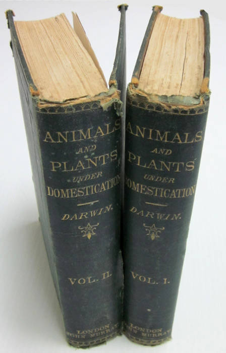 "The Variation of Animals and Plants under Domestication" in two volumes, by Charles Darwin [2nd edition, London, 1875]. Publisher's green cloth, badly worn and split, new endpapers, a sound working copy only. {This represents the only section of Darwin's
