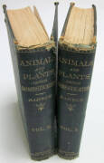 "The Variation of Animals and Plants under Domestication" in two volumes, by Charles Darwin [2nd edition, London, 1875]. Publisher's green cloth, badly worn and split, new endpapers, a sound working copy only. {This represents the only section of Darwin's