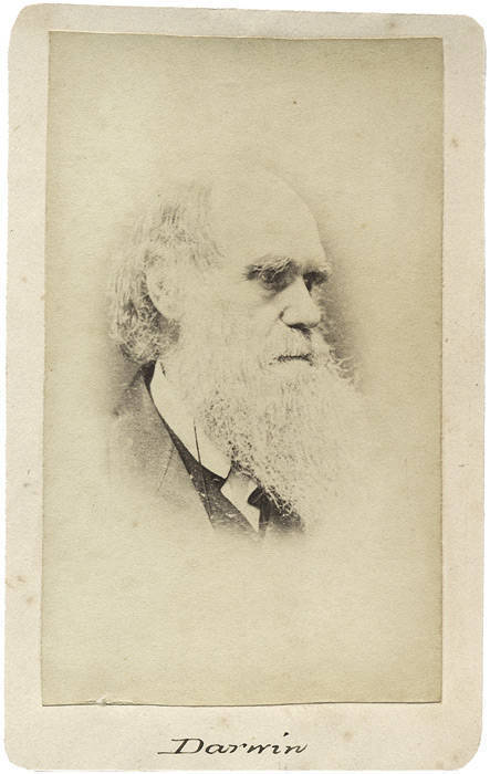 Cartes-de-Visite depicting CHARLES DARWIN in later life (2 different) and another depicting "The Mother Elephant 'Hebe' and her baby 'Young America'".
