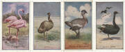 1912 Sniders & Abrahams "Animals & Birds", part set [48/60]. G/VG.