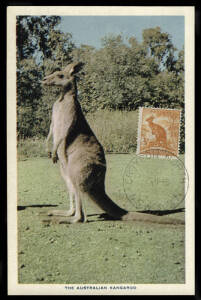 MAXIMUM CARD group with &frac12;d 'Roo (1958), 3&frac12;d Black Swan (1958), 4d Koala (1957), 5&frac12;d Emu (1957), 6d Kookaburra (1956 & 1958), 9d Platypus (1956 & 1958) plus 1&frac12;d Canberra (1956), 2d Bridge (1957), 1d purple, Queen Mother (1949), 5&frac12;d War Memorial, sailor/sol