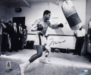 MUHAMMAD ALI, signed photograph of Muhammad Ali with punching bag, size 51x40cm. With 'Online Authentics' No.9675.