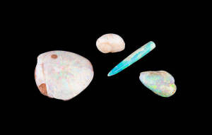 OPALISED FOSSILS FROM COOBER PEDY: Group of opalised fossils from cretaceous period 100myo, noted large opalised cockle shell (122.8 cts); opalised mussel shell (38.3 cts); opalised gastropod (20.9 cts); opalised belemnite (16.6 cts).&nbsp;