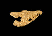 GOLD NUGGET, 120.4g, 3.9oz, from Dunolly, Victoria.