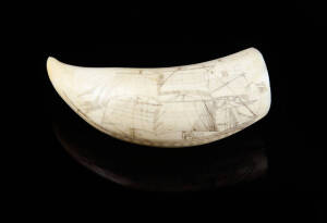 A fine Scrimshaw whales tooth, 19th century decorated with a wrap around ship. Length 13cm 