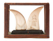 Sailors whale tooth display. Two teeth carved & engraved mounted in a cedar & glass case, mid 19th century. Case height 10cm x width 12.5cm, depth 5cm