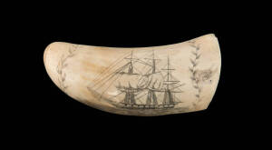 Scrimshaw whales tooth decorated with a three masted ship and laurel, 19th century. 12cm high