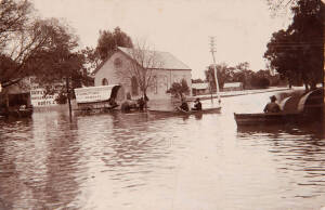 Group including cards by Kerry, Neville Cayley birds, Echuca floods, Murray river views etc. 60+ cards