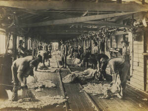 Original silver gelatin photograph, "Shearing Time", Burrawong Station, NSW, c1910 (23 x 18cm), 1940's photo album, and assorted photographs.