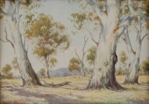 ARNOLD HENRY JARVIS (1881-1959), Gum Trees in the Clearing, watercolour, signed 'ARNOLD JARVIS' lower left, 43 x 62 cm