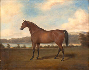 JOSEPH FOWLES (1810-78, Australia): "Racehorse, Sydney", oil on canvas, signed lower right, c1860, framed, overall 63x53cm.