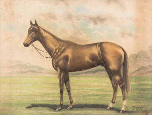 PHAR LAP: Jack Porter (working 1919-41, Australia), "Phar Lap", watercolour, signed "Jack Porter" and dated "1930" lower right, window mounted, framed & glazed, overall 82x68cm.