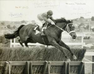 CRISP: Archive re Australia's champion steeplechaser, nicknamed "The Black Kangaroo", and best remembered for his epic contest with Red Rum in the 1973 Grand National in England. Noted photograph with 6 signatures including owner Sir Chester Manifold, tra