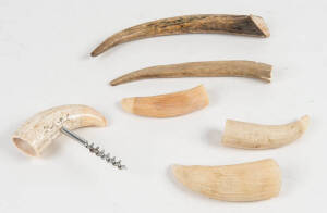Whales teeth (3), deer horn (2 pieces) & a whales tooth corkscrew. 9cm to 23cm. (6 items)