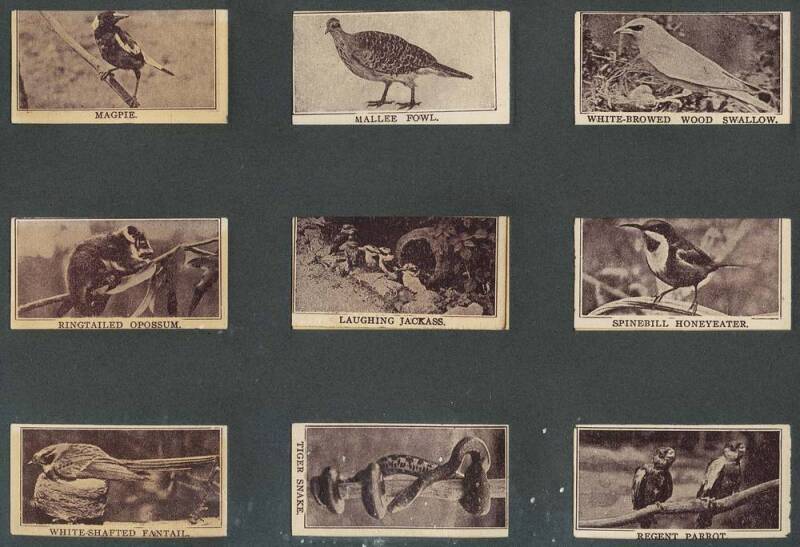 c1905-33 cigarette & trade cards (216) in album, noted 1920s G.A.Drake Zoo Toffee "Animals" (15); also framed postcards "A Garrison Libel" set of 6. Fair/G.