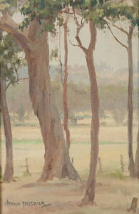 HAROLD EMANUEL FREEDMAN (1915-1999), Tall Gums, oil on canvas on board, signed 'HAROLD FREEDMAN' lower left, 37 x 24 cm