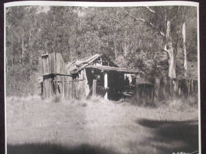 DOUGLAS THOMPSON [1932- ] "Old Settlers Hut Victorian Alps", 1955, pigment ink on giclee print, signed by the photographer at lower right, ed. 1/25. Image size: 38x49.5cm.