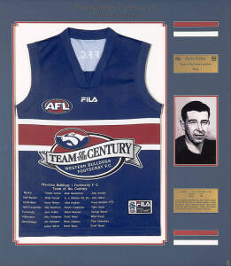 FOOTSCRAY - HARRY HOCKEY TEAM OF THE CENTURY JUMPER: "Western Bulldogs/Footscray F.C. Team of the Century" display comprising special Footscray Team of the Century jumper embroidered with the players in their positions; window mounted with plaque for Harr