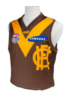 HAWTHORN: Hawthorn Heritage Round jumper, from 2003 v Sydney at SCG.